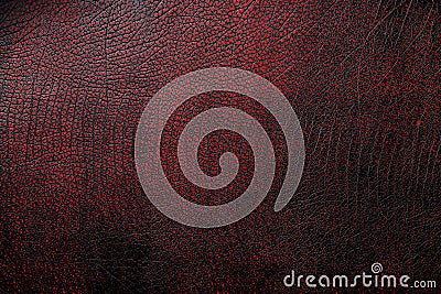 Red - black textured reptile skin, used texture for the background. Lizard or crocodile skin Stock Photo