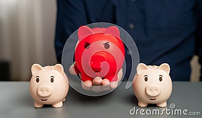 Red bloated piggy bank against the background of normal ones. Stock Photo