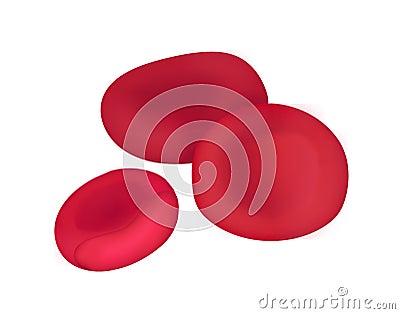 Red blood cells Vector Illustration