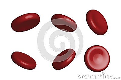 Red blood cells. Cartoon Illustration