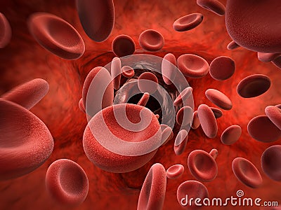 Red blood cells in vein Stock Photo