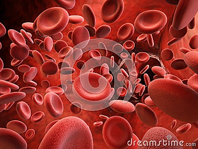 Red blood cells in vein Stock Photo