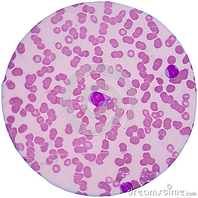 Red blood cells Stock Photo