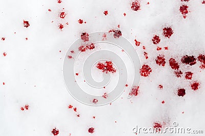 Red blood on the snow Stock Photo