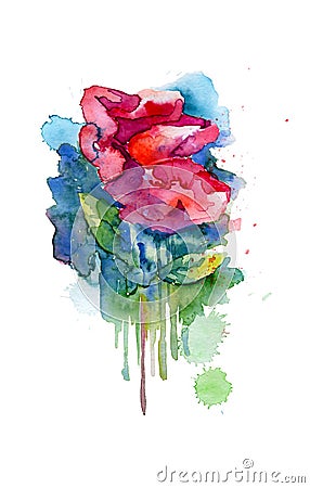 Red blooming watercolor sketch. Isolated from background pictur Stock Photo