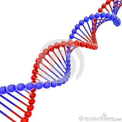 Red and Blue DNA Helix on White Diagonal Stock Photo