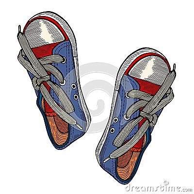 Red and blue sports sneakers Vector Illustration