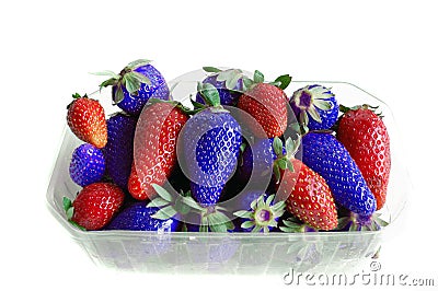 Red and blue strawberries Stock Photo