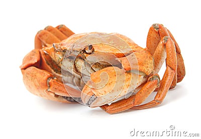 Red boiled crab isolated on white background Stock Photo