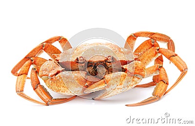 Red boiled crab isolated on white background Stock Photo