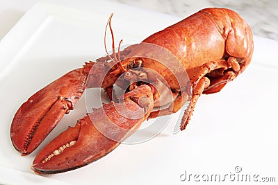 Red boiled lobster Stock Photo