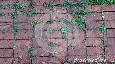 Red bricks texture Stock Photo