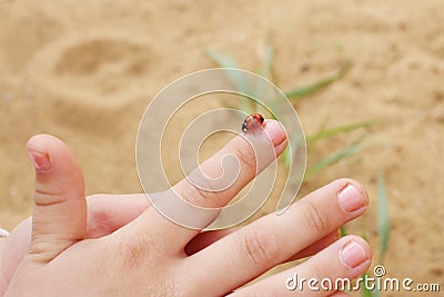 Red bright ladybug sits on finger on little girl Stock Photo