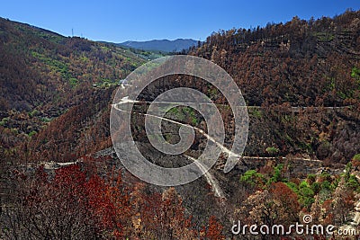 Red, brown and green coloured landscape at Gois in Portugal after wildfire, near Coimbra Editorial Stock Photo