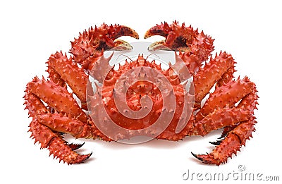 Red brown king crab 2 on white background Stock Photo