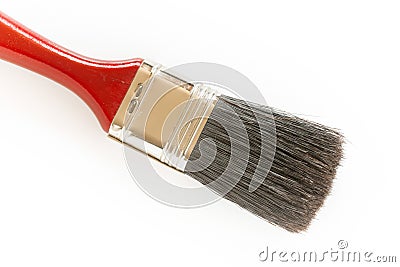 Red Brush Sable Stock Photo