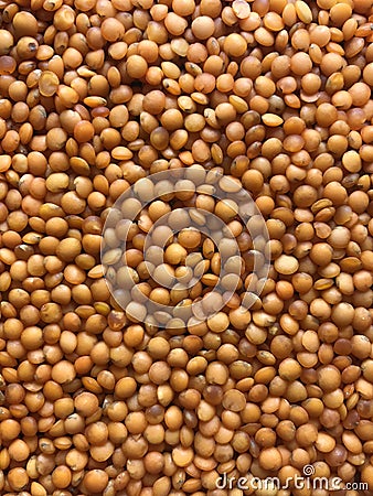 Red bulk lentils Stock Photo