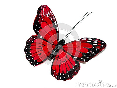 Red butterfly Stock Photo