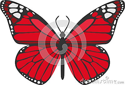 The Red Butterfly Insect Animal Vector Vector Illustration