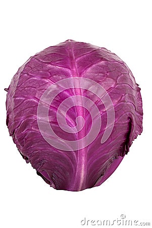 Red Cabbage Stock Photo