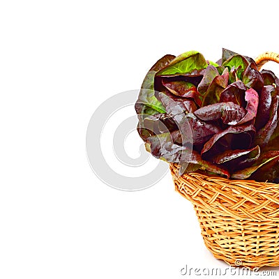 Red cabbage lettuce in basket. Stock Photo