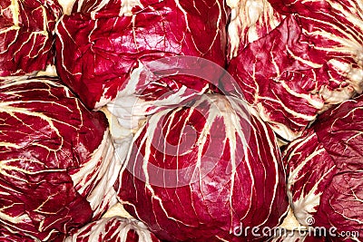 Red cabbage Stock Photo