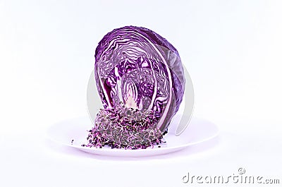 Red cabbage sprouts Stock Photo