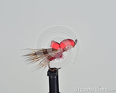 Red Caddis imitation Stock Photo