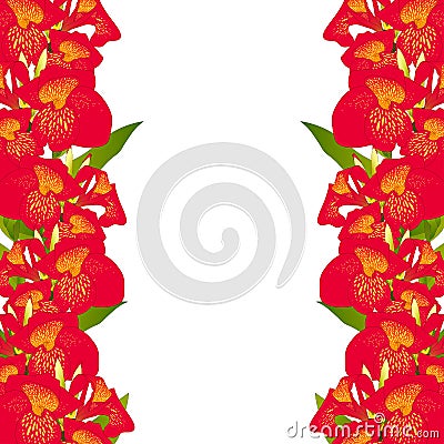 Red Canna indica Border - Canna lily, Indian Shot. Isolated on White Background. Vector Illustration. Vector Illustration