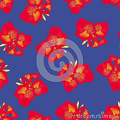 Red Canna indica - Canna lily, Indian Shot on Navy Blue Background. Vector Illustration Vector Illustration