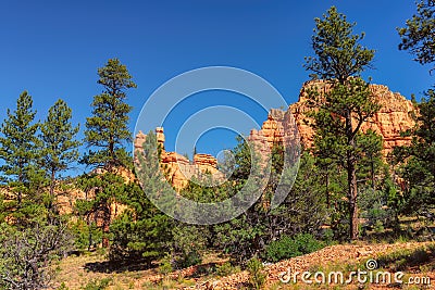 Red Canyon at Bryce Canyon national park, Utah Stock Photo