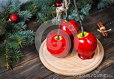 Red caramel apples on sticks on Dark wood background, with Christmas tree branches Stock Photo