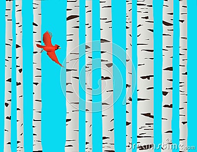 A red cardinal bird is seen flying among paper birch trees Cartoon Illustration