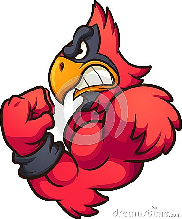 Strong cartoon red cardinal mascot Vector Illustration