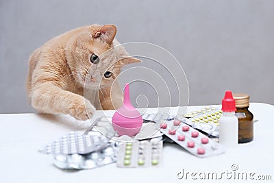 Red cat playing with rubber medical enema. pile of medicines Stock Photo