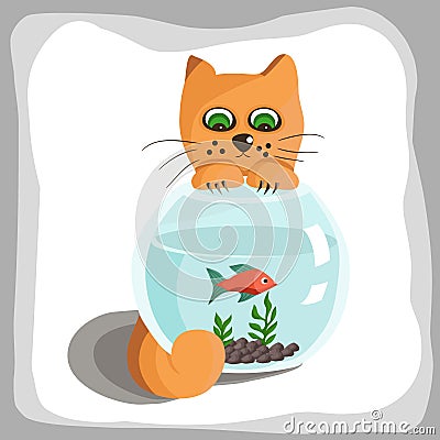 Red cat watches fish in aquarium Vector Illustration