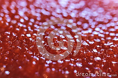 Red caviar close-up macro texture, salted red caviar on a seafood production, packaging and distribution company, producing Stock Photo
