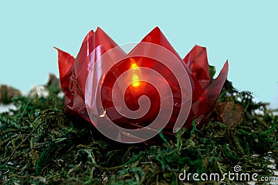 Red Cellophane Origami Lotus Flower with Lights on a bed of moss. Stock Photo