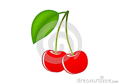 Red cherries Vector Illustration