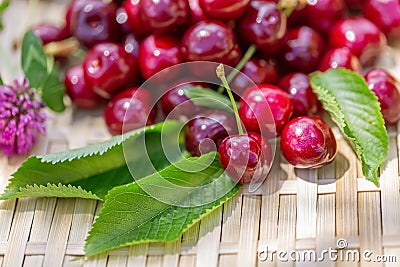 Red cherries. Juicy cherries on a wooden surface in the garden in a summer day. Sunny day. Sweet fruits. Shallow depth of field. Stock Photo