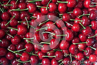 Red cherry Stock Photo