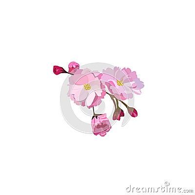 Red cherry flower Vector Illustration