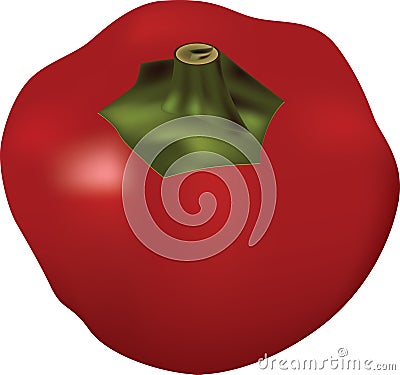 Red cherry pepper Vector Illustration