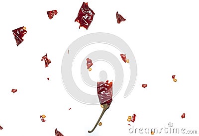 Red chili exploded into small pieces with many seed inside Stock Photo