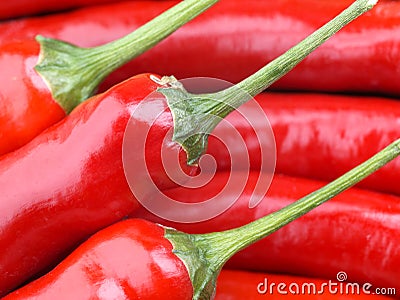 Red Chili Pepper Stock Photo