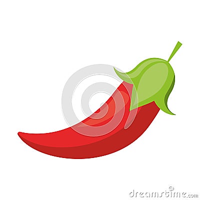 Red chili pepper culinary food Vector Illustration