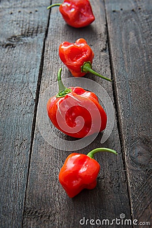 Red Chili pepper Habanero Stock Photo