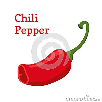 Red chili pepper, hot spicy pepper. Cartoon style. Vector illustration Vector Illustration