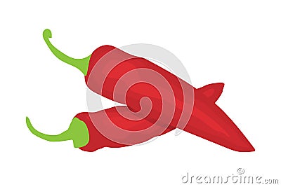 Red chili pepper icon. spicy mexican food. vegetable icon Vector Illustration