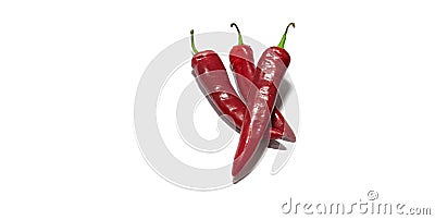 Red chili pepper isolated on white. food, object. Stock Photo